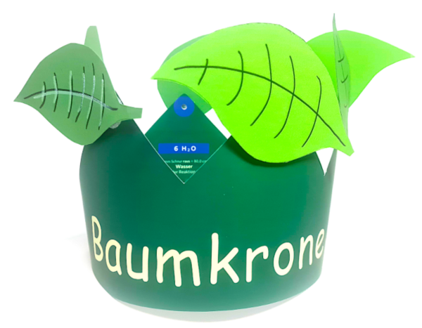 Bild: Die Baumkrone als Lernmodell.